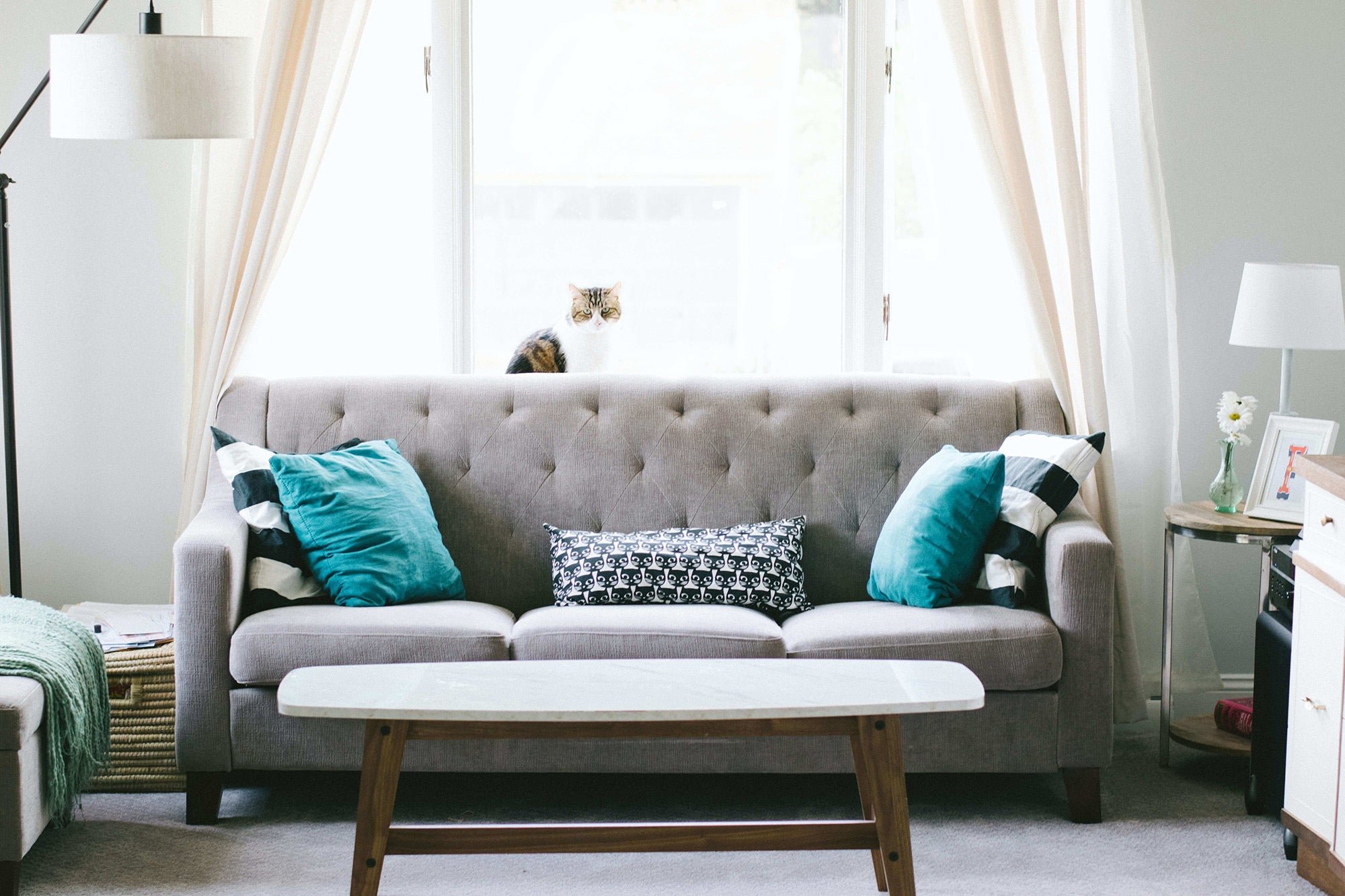 Perfect Guide To Choose Cushions For Your Sofa Genstore