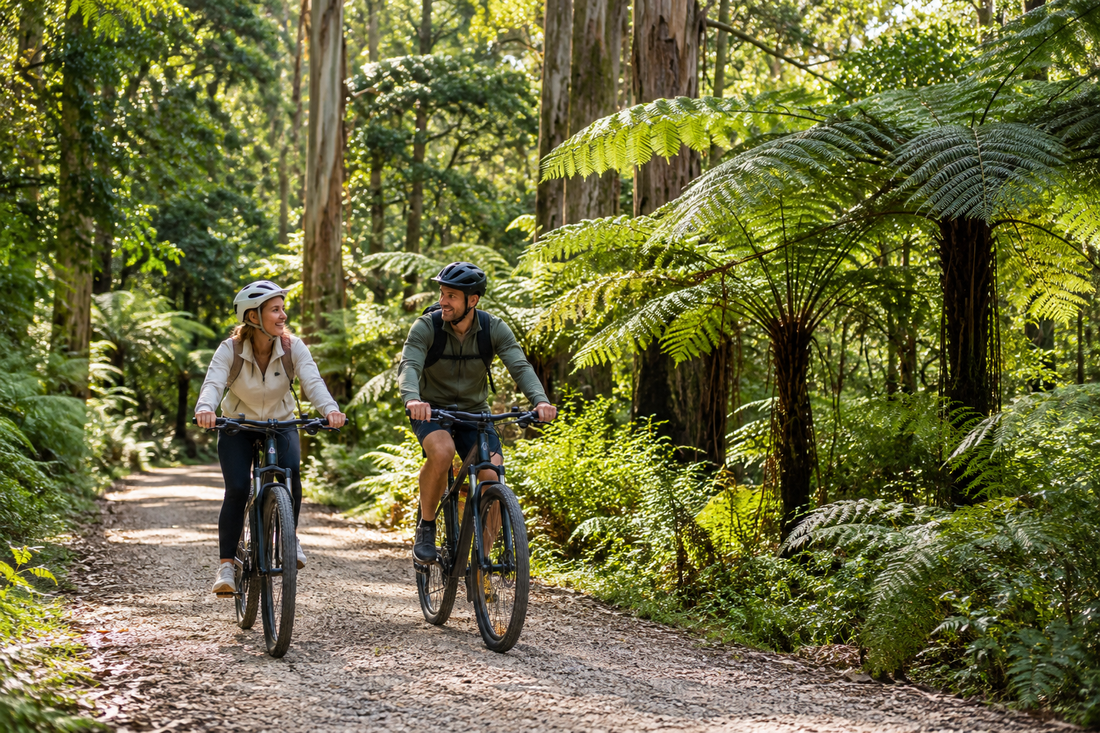 Illustration of leisure cycling through forest ferns, representative of a Hills forest experience