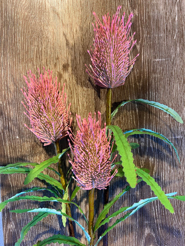 Banksia Stem Real Touch 68cm
