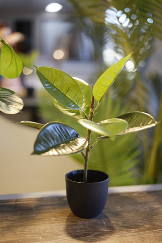 Faux Potted Rubber Plant 30cm