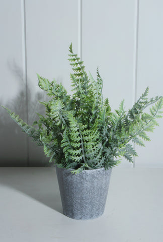 Fern In Tin Pot 30cm