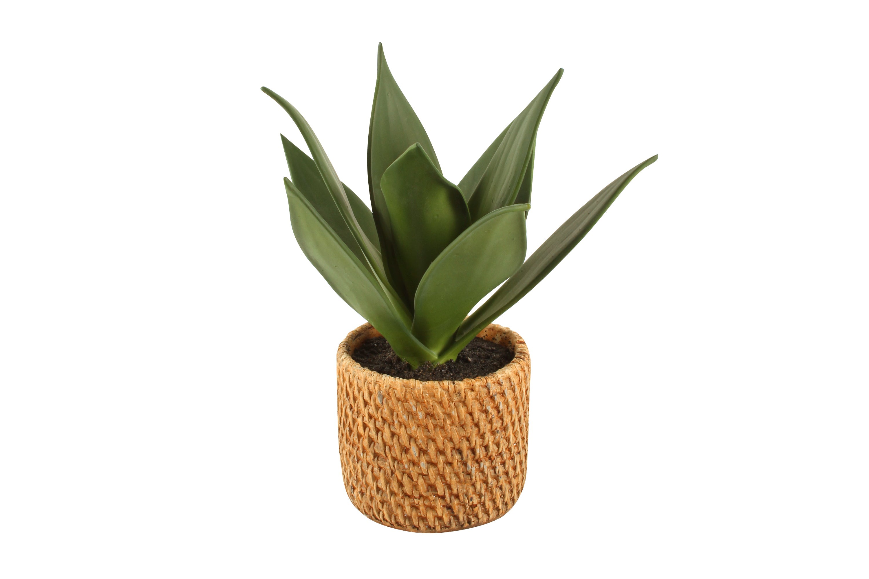 Aloe In Ceramic Weave Pot 25 x 10 cm for sale in Australia