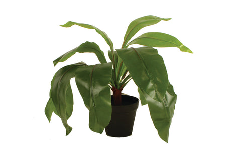Plastic Pot for plants