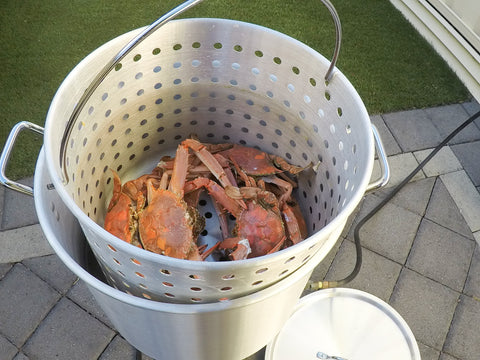 42 Quart Aluminium Stockpot And Basket With Strainer