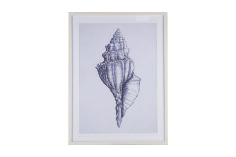 Belize Blue Watercolour Shell Framed Canvas 80 x 60cm