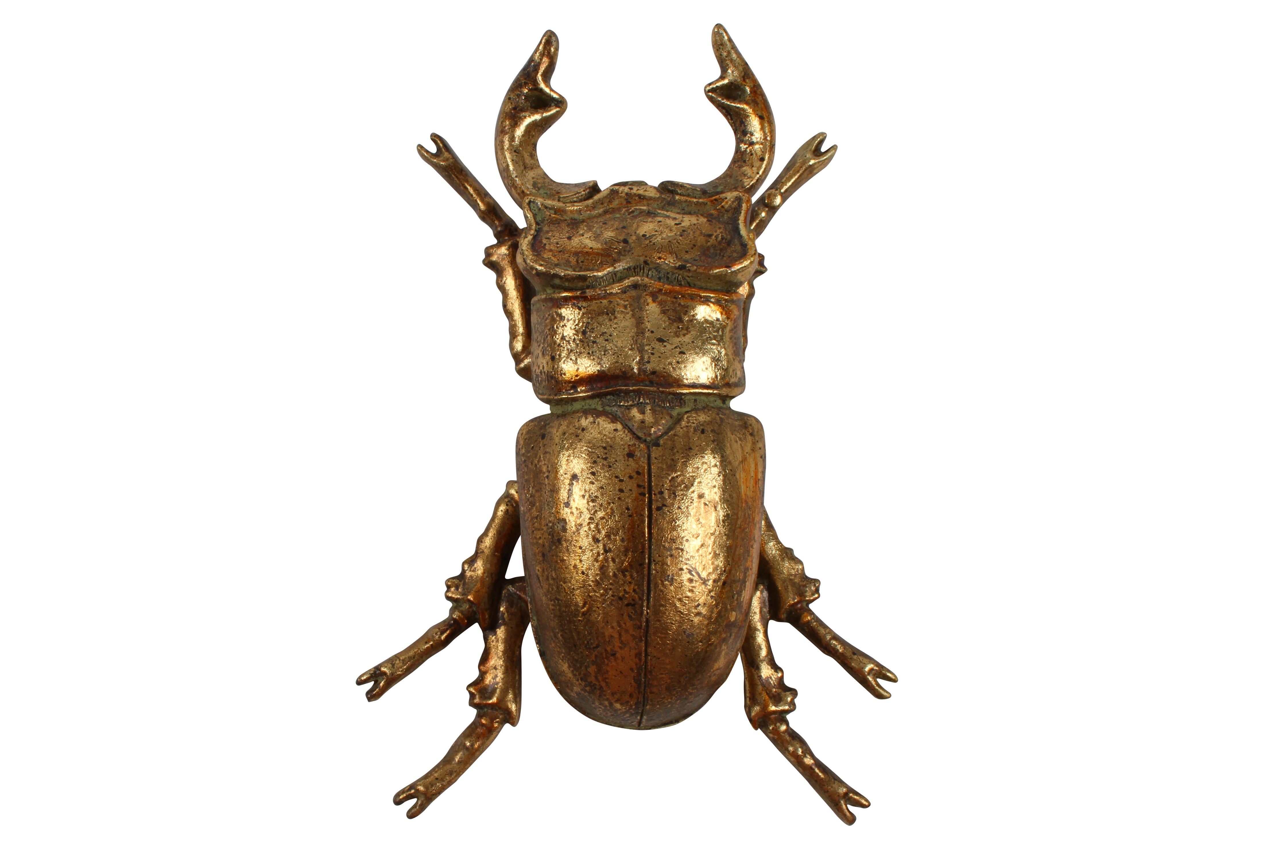 Buy Angi Beetle Resin in Australia