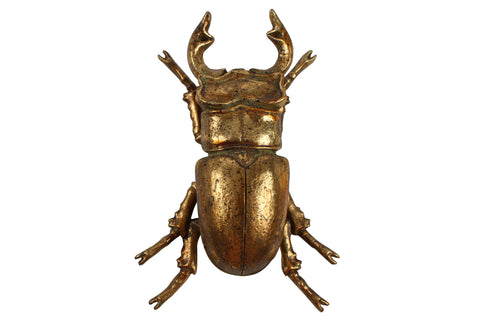 Buy Angi Beetle Resin in Australia