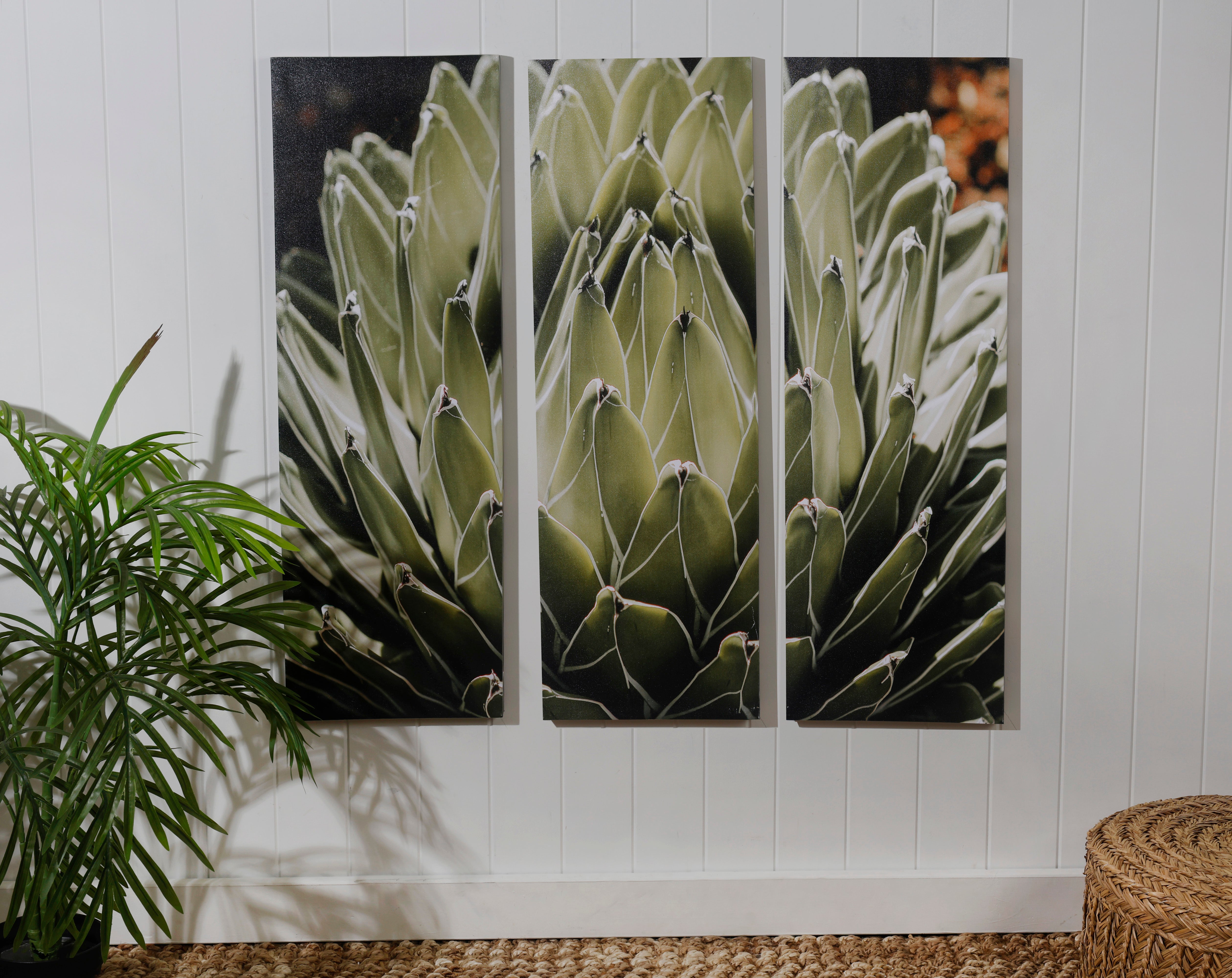 Botanical Agave Canvas Print 30 x 90 x 2.5 cm home decor Australia
