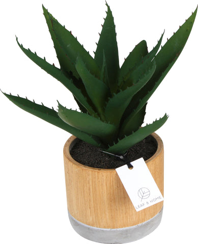 M&C™ Sensi Artifical Succulent In Pot