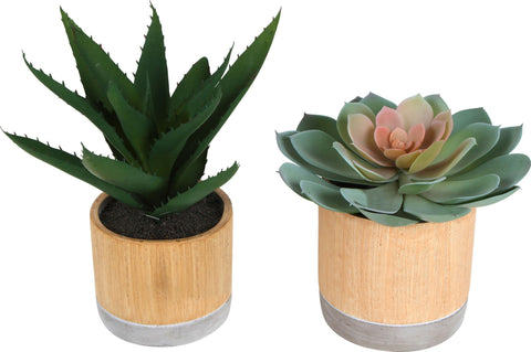 M&C™ Sensi Artifical Succulent In Pot