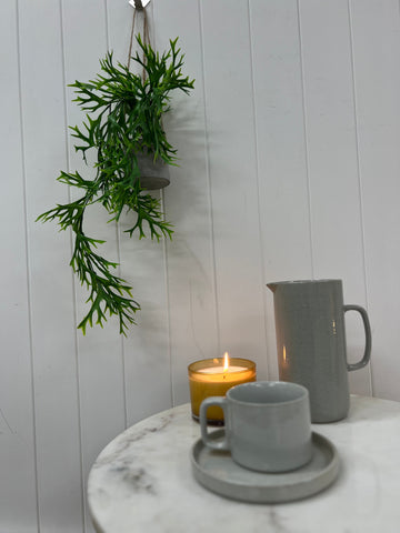 Faux Hanging Staghorn in Concrete Pot Hanging 55cm