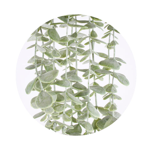 Linden Cascading Plant 105cm