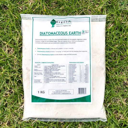 DIATOMACEOUS EARTH 1KG