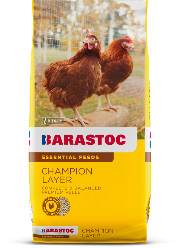 BARASTOC CHAMPION LAYER 20KG